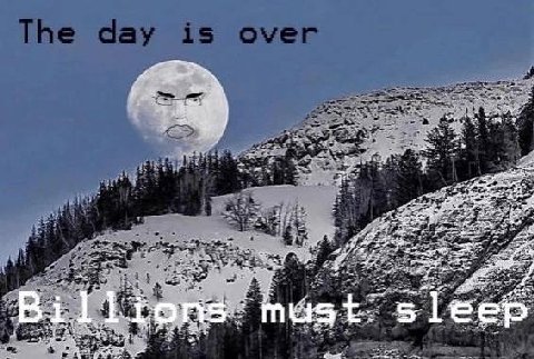 tree a Billions mast sleep an