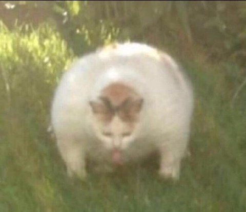 у 7