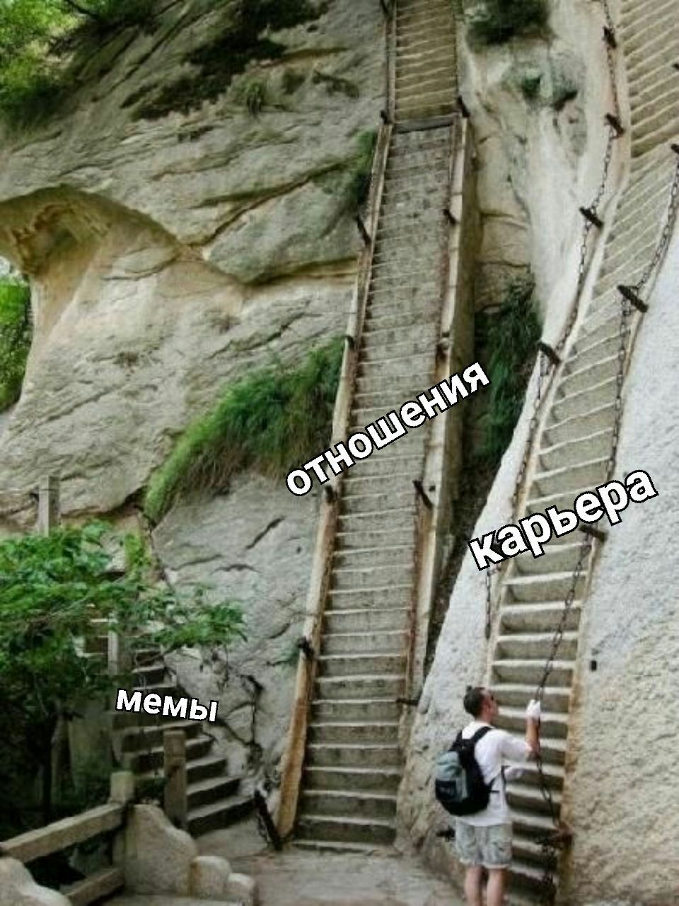 мемы