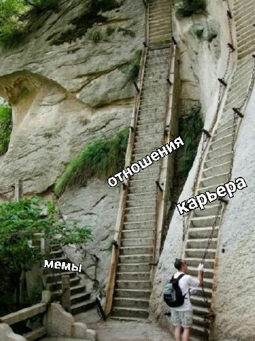 мемы
