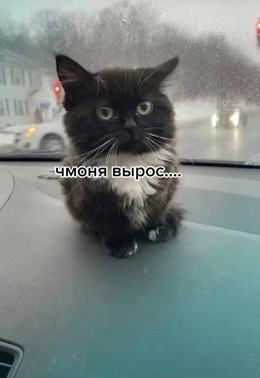 у 7 О a