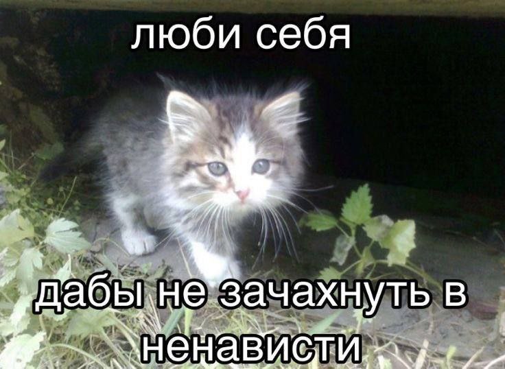 люби себя a 4 ‚дабы He зач ахнуть В енависти.