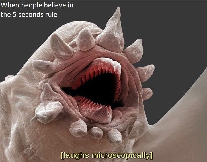 When people believe in the 5 seconds rule [laughs microscopically]