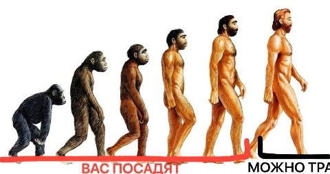 я у a ВАСПОСАДЯ МОЖНО TPA