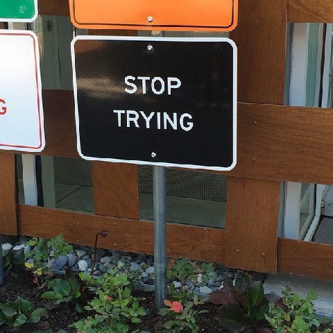 STOP TRYING
