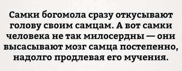 Самки богомола сразу откусывают голову своим самцам. А вот самки человека нетак милосердны они высасывают мозг самца постепенно, надолго продлевая его мучения.