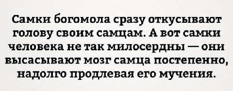 Самки богомола сразу откусывают голову своим самцам. А вот самки человека нетак милосердны они высасывают мозг самца постепенно, надолго продлевая его мучения.