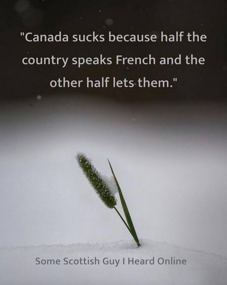 "Canada sucks because half the country speaks French and the other half Some Scottish Guy Heard Online