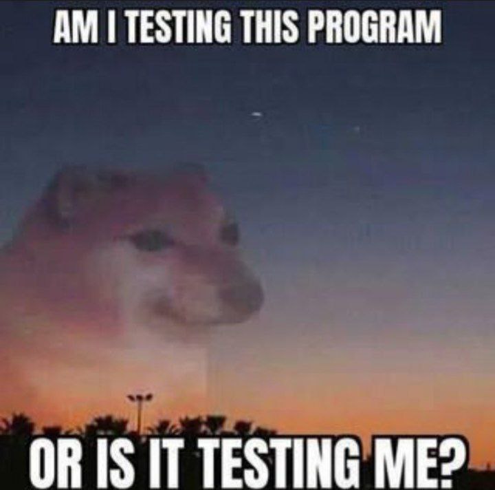 TESTING THIS PROGRAM
