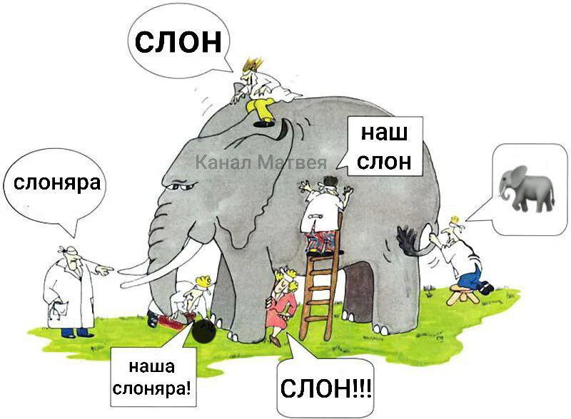 4 4 A слоняра у 4 А у A наша слоняра!