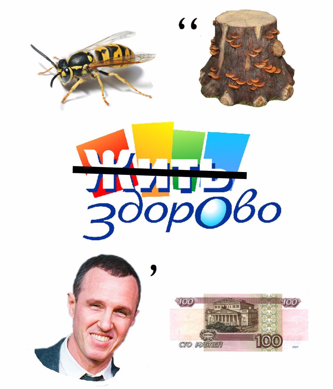 66 300pQ6o 100. У