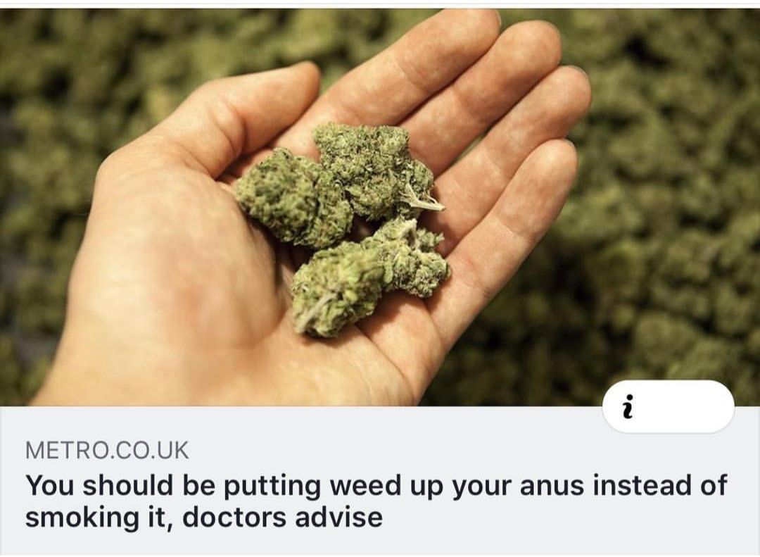 METRO.CO.UK You should be putting weed up your anus instead of smoking it, doctors advise