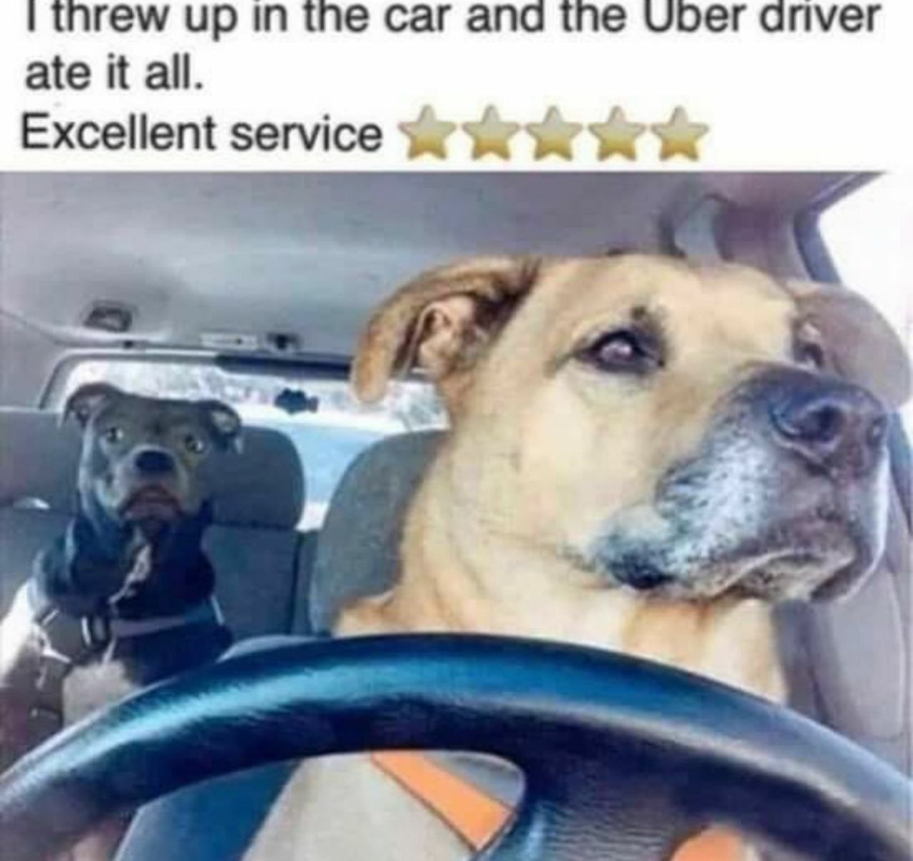 threw up in the Car ana the Uber апуег ate it all. Excellent Service