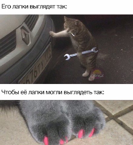 Его лапки выглядят так: Чтобы её лапки могли выглядеть так: