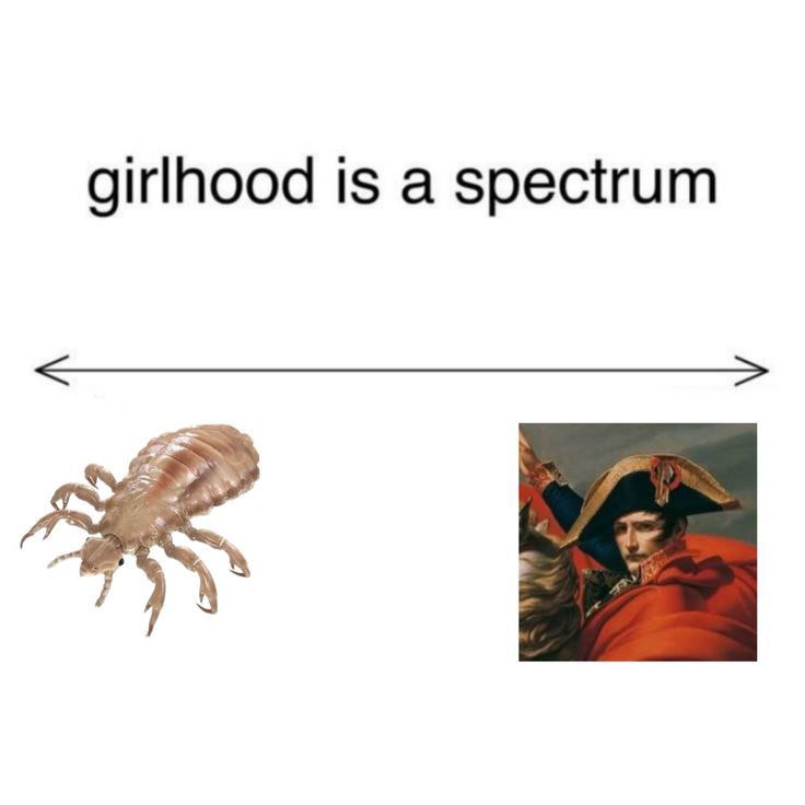 girlhood is a spectrum 7).