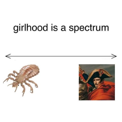 girlhood is a spectrum 7).