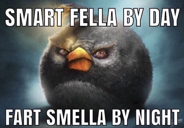DAY FART SMELLA NIGHT