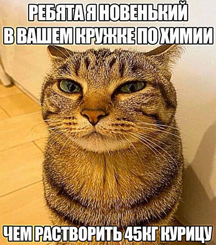 НОВЕНЬКИЙ я А 1 4 a i 4 i \СТВОРИТЬ KVPHI А TLANS
