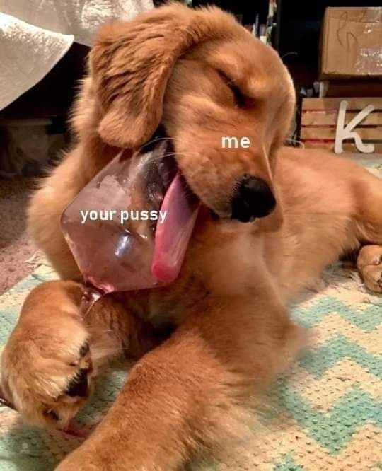 your pussy