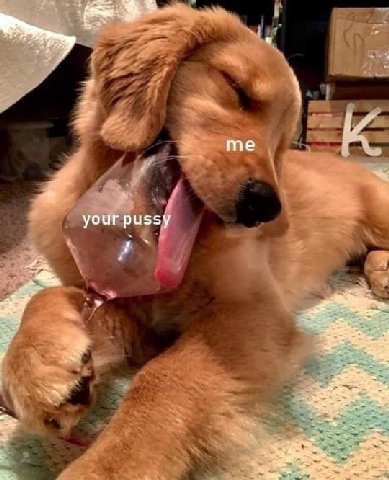your pussy