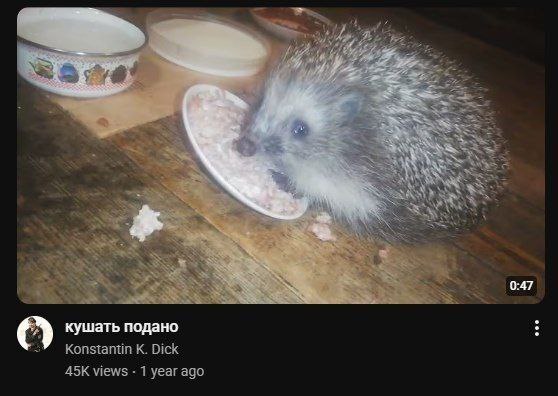 5%. he 0:47 кушать подано Konstantin Dick views 1 year ago