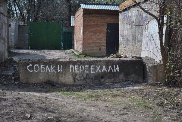 у 4 a и у, if у у fis a! i СОБАКИ ПЕРЕЕХАЛИ $77 с