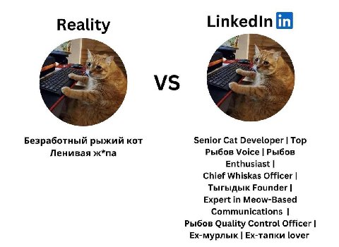 Reality Linkedin Безработный рыжий KOT Senior Cat Developer Тор Ленивая ж*па Рыбов Voice Рыбов Enthusiast Chief Whiskas Officer Тыгыдык Founder Expert Meow-Based Communications Рыбов Quality Control O