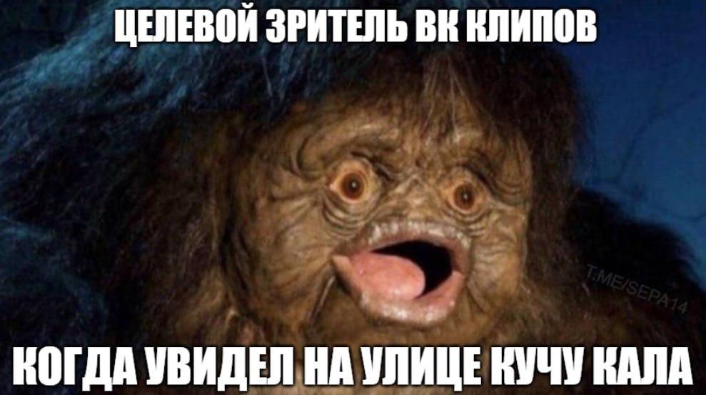 ЦЕЛЕВОЙ ЗРИТЕЛЬ КЛИПОВ КОГДА УВИДЕЛ НА УЛИЦЕ КУЧУ КАЛА