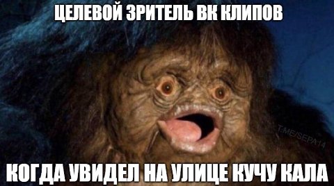 ЦЕЛЕВОЙ ЗРИТЕЛЬ КЛИПОВ КОГДА УВИДЕЛ НА УЛИЦЕ КУЧУ КАЛА
