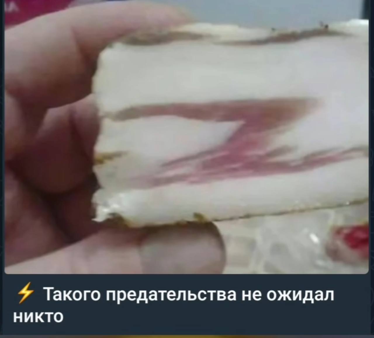 Такого предательства не ожидал НИКТО