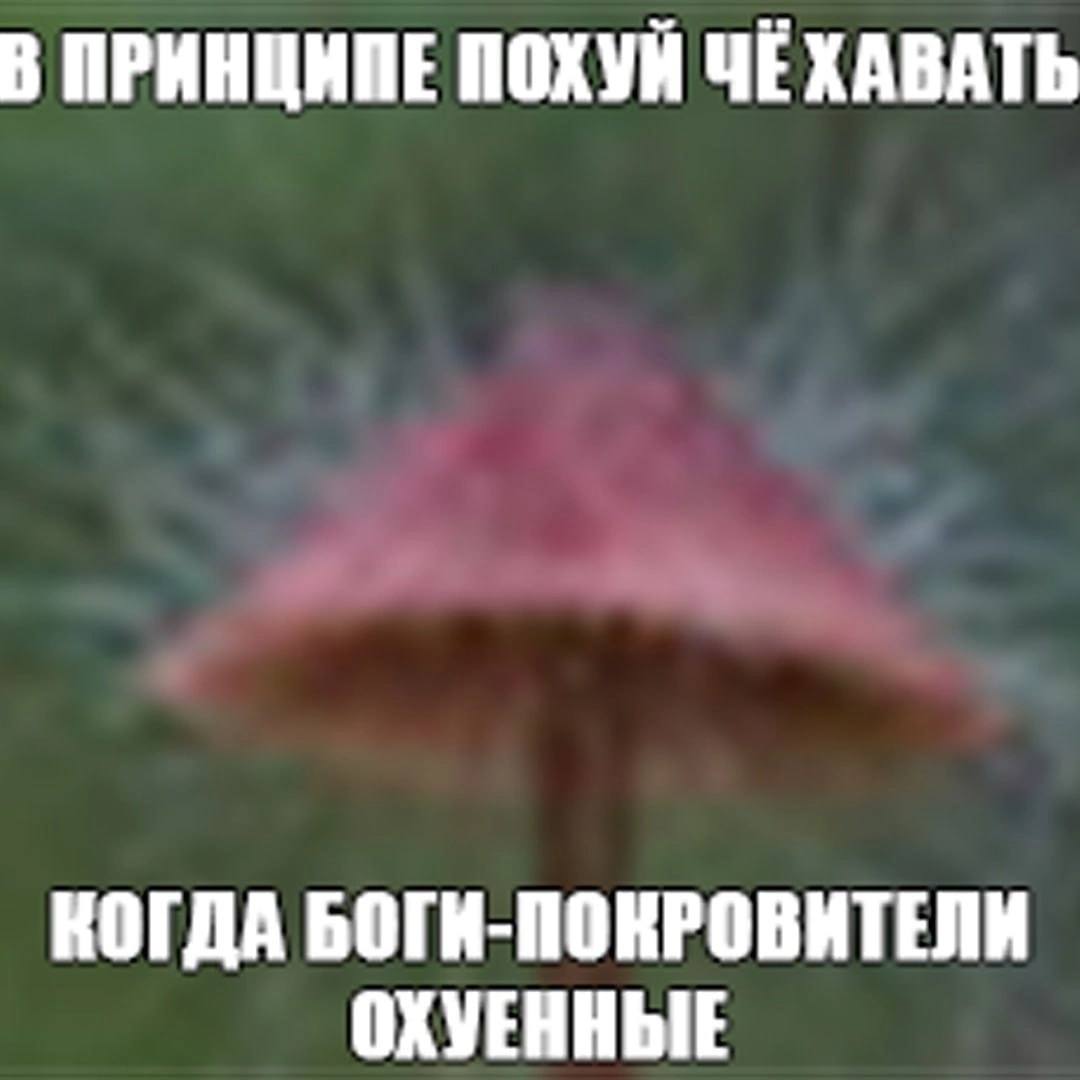 В ПРИНЩИМЕ ПОХУЙ ЧЕХАВАТЬ КОГДА БОГИ-ПОКРОВИТЕЛИ ОХУЕННЫЕ
