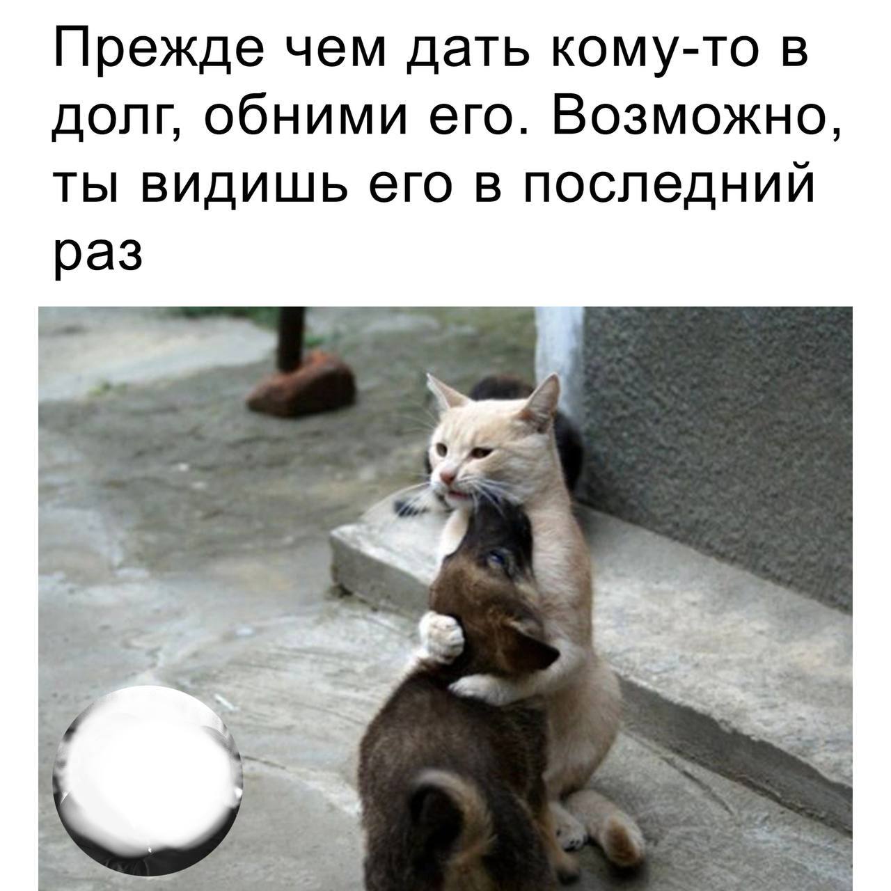 Прежде чем дать кому-то в долг, обними его. Возможно, ты видишь его в последний раз