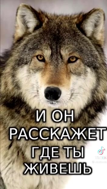 | ИХВЯКАХМЕТ