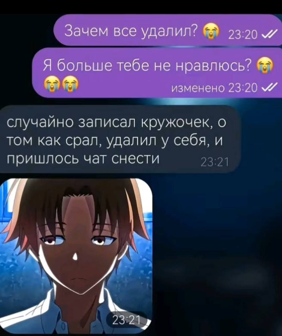Зачем все удалил? 73:20 Я больше тебе не нравлюсь? изменено 23:20 к случайно записал кружочек, о том как срал, удалил у себя, и пришлось чат снести У