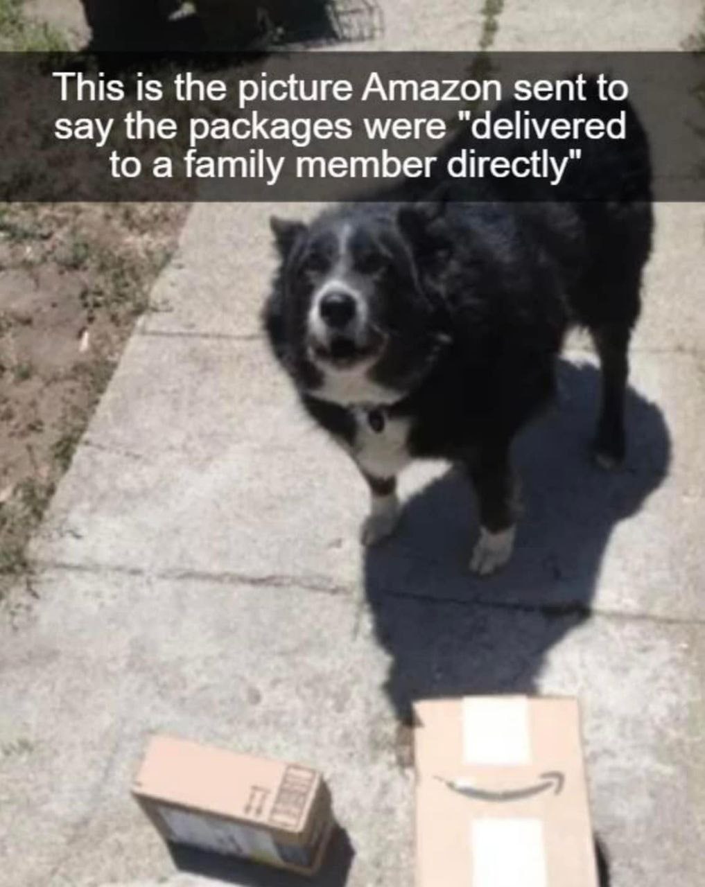 This is the picture Amazon sent to say the packages were "delivered to a family member directly"