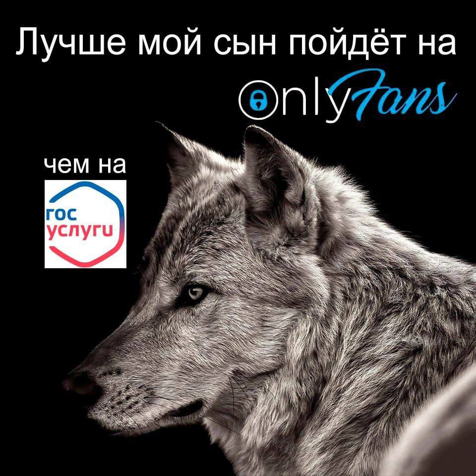 Лучше мой сын пойдёт на Only чем на roc услуги