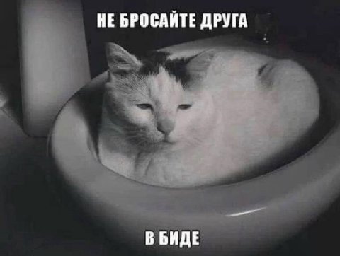 НЕ БРОСАЙТЕ ДРУГА В БИДЕ