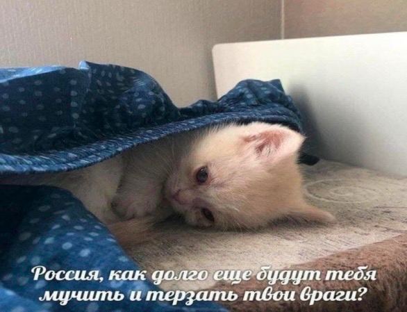 Parr Россия. как долго ешеоцдут тебя мучить и терзать твои враги?