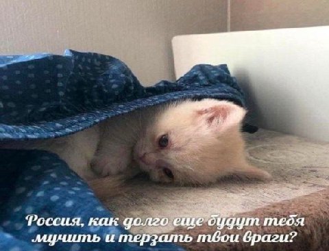 Parr Россия. как долго ешеоцдут тебя мучить и терзать твои враги?
