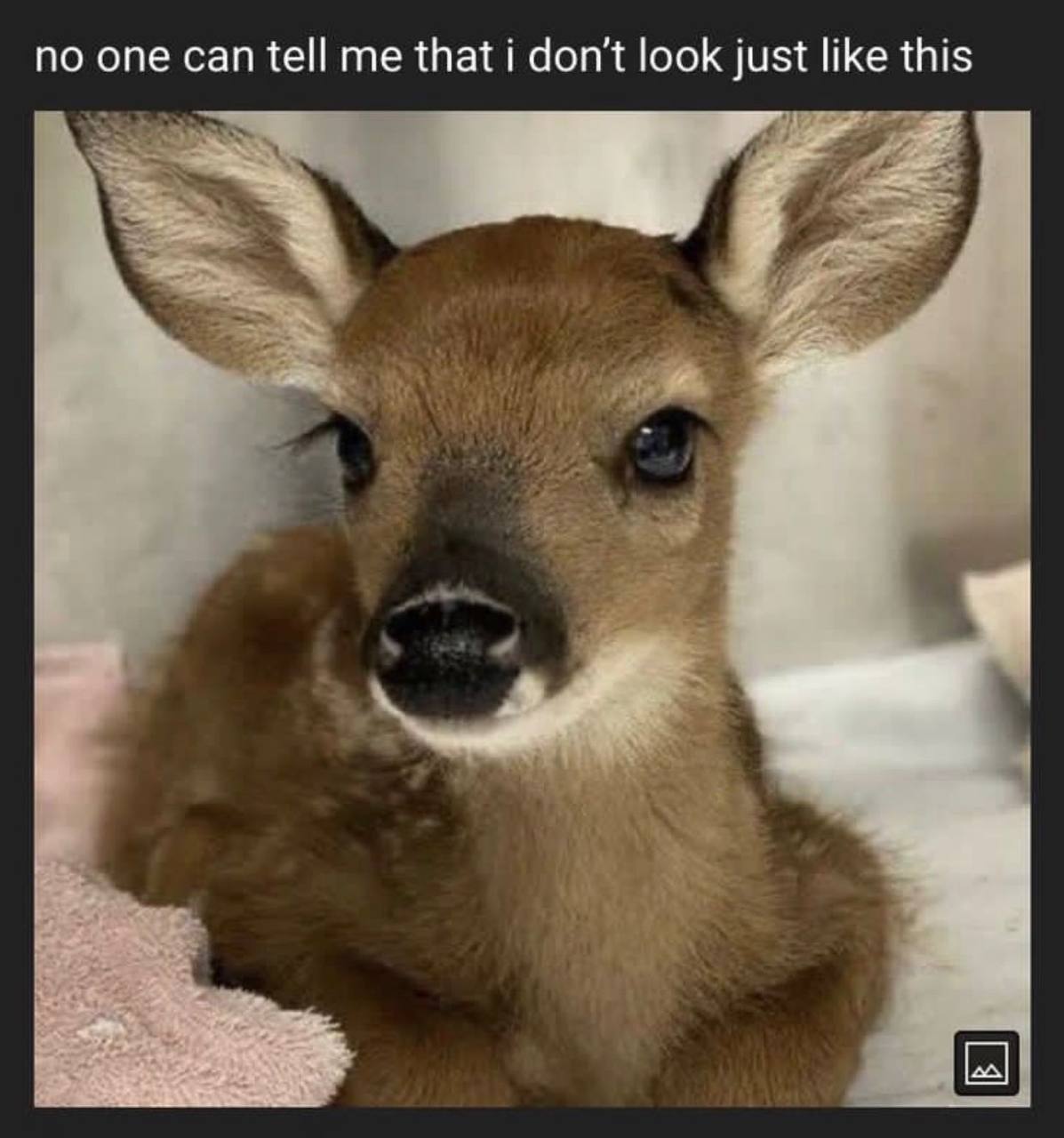 по one can tell me that i don't look just like this