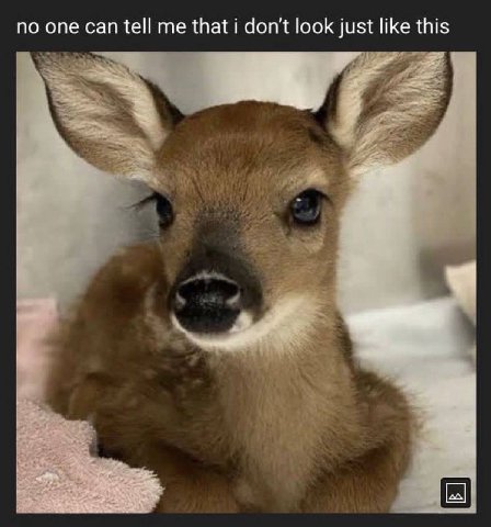 по one can tell me that i don't look just like this