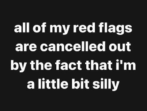 all of my red flags are cancelled out the fact that a little bit silly