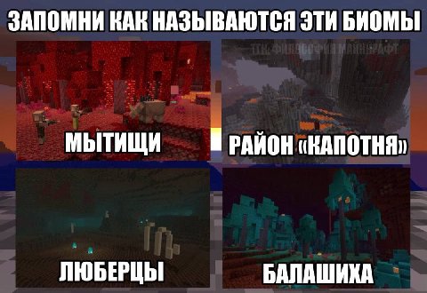 ЗАПОМНИ ВАК НАЗЫВАЮТСЯ ЭТИ БИОМЫ МЫТИЩИ РАЙОН ЛЮБЕРЦЫ БАЛАШИХА