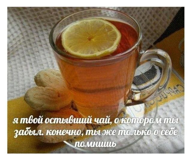 7 я тбой остыбииш чай, о котором забыл. конечно, ты же ламншиь