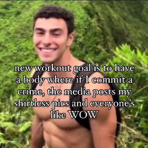 sal 15 to have a if mmit a crime, the media posts my shirtless pics and everyone's like WOW