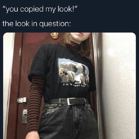 “you copied my look the look in question: