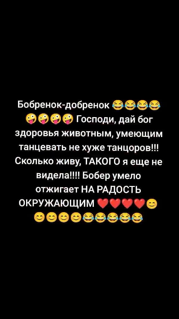 > © © © Господи, дай бог танцевать не хуже танцоров!!! Сколько живу, ТАКОГО р не видела!!! Бобер умело отжигает НА РАДОСТЬ ОКРУЖАЮЩИМ ©* 9 Бобренок-добренок @ SOS здоровья животным, умеющим Бобренокдо
