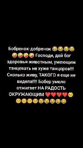 > © © © Господи, дай бог танцевать не хуже танцоров!!! Сколько живу, ТАКОГО р не видела!!! Бобер умело отжигает НА РАДОСТЬ ОКРУЖАЮЩИМ ©* 9 Бобренок-добренок @ SOS здоровья животным, умеющим Бобренокдо