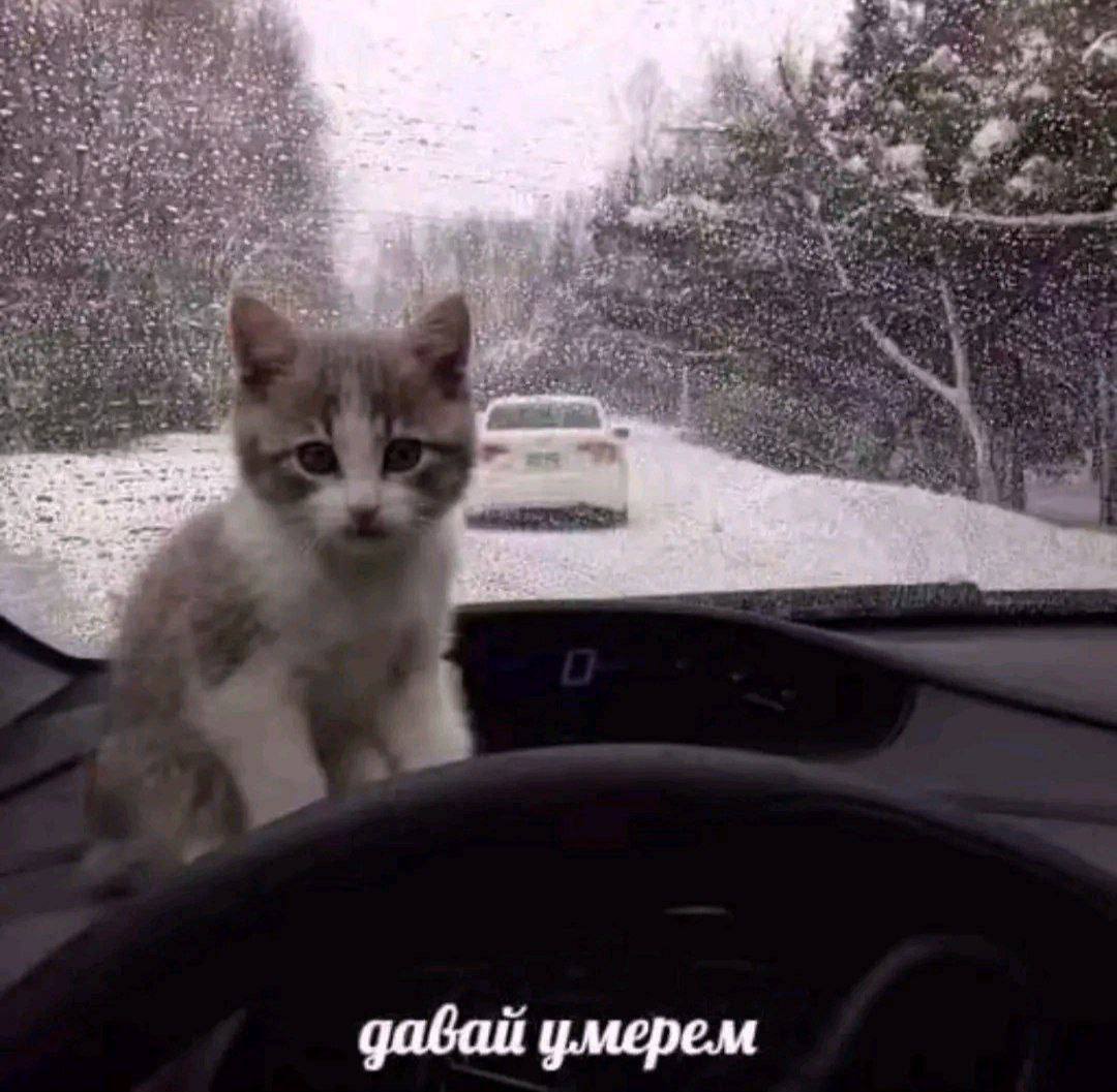 давай умерем