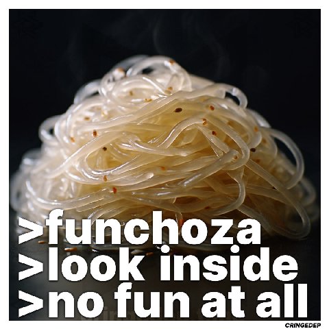 >funchoza >look inside >no fun